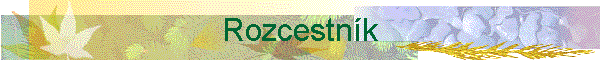 Rozcestn�k