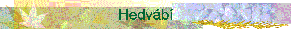 Hedv�b�