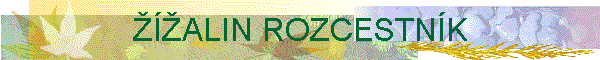 �͎ALIN ROZCESTN�K
