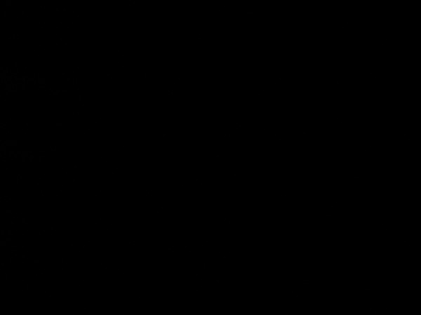 MINOLTA DIGITAL CAMERA         