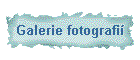 Galerie fotografi�