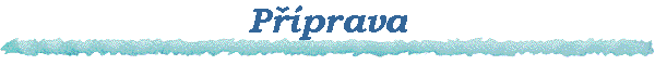 P��prava