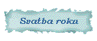 Svatba roku