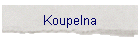 Koupelna