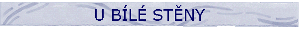 U B�L� ST�NY