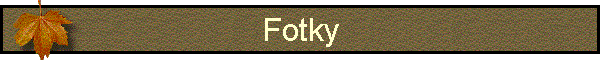 Fotky